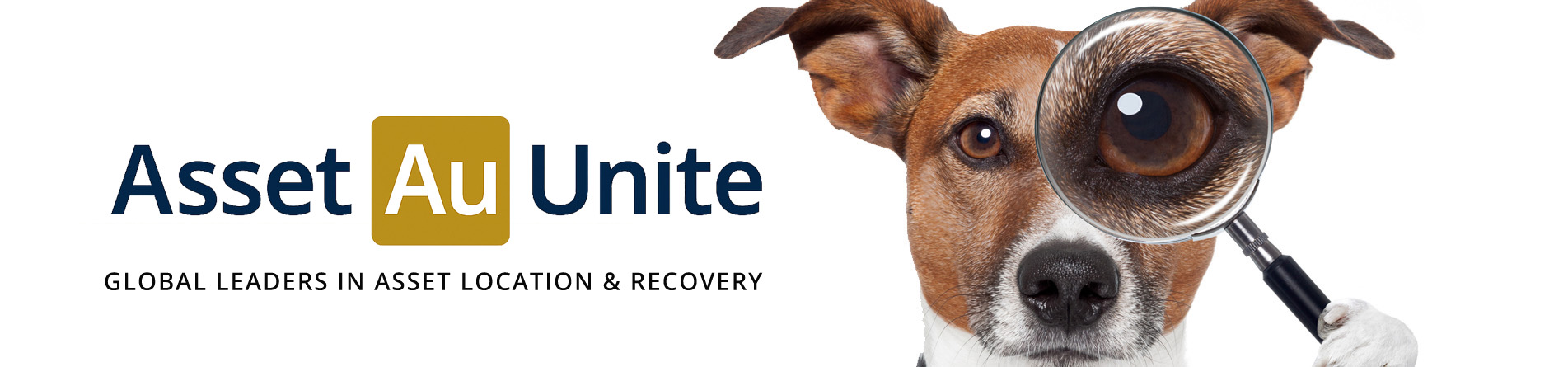 Asset Unite Header
